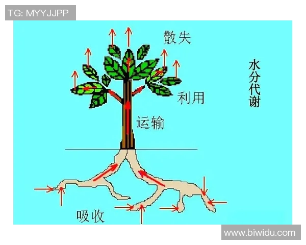 西安网球队耐力训练的科学分析与提升策略探讨