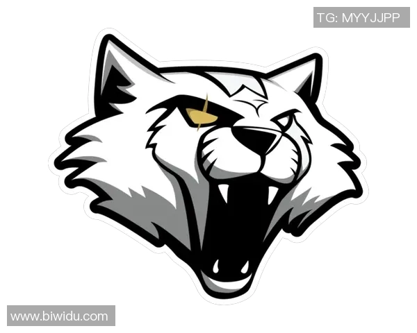 聚焦CSGO：深入分析FPX战队的实力与未来发展潜力